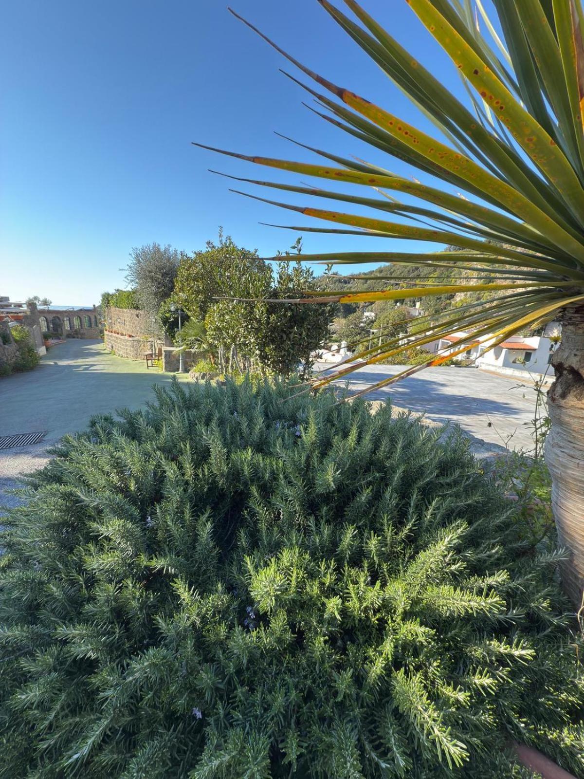 Parco Dei Principi Resort & Spa Forio di Ischia Dış mekan fotoğraf